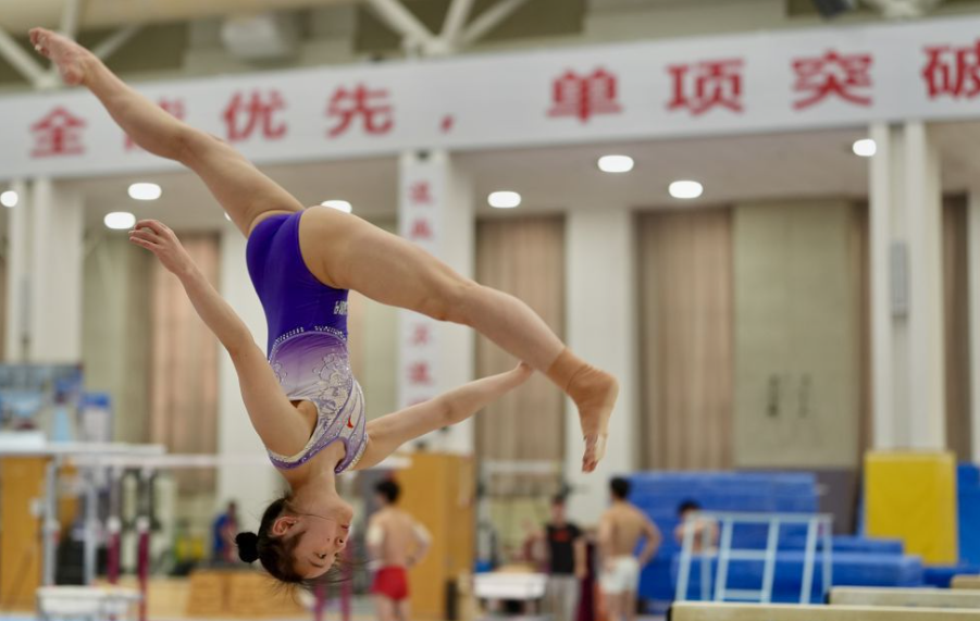 m6米乐网址与其他平台的对比